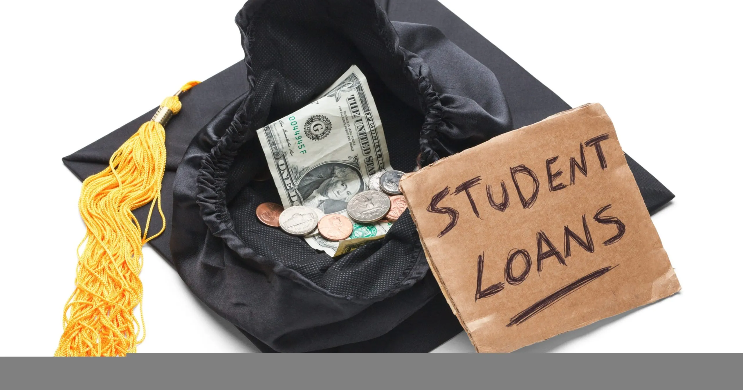 Wsu Plus Loan Application