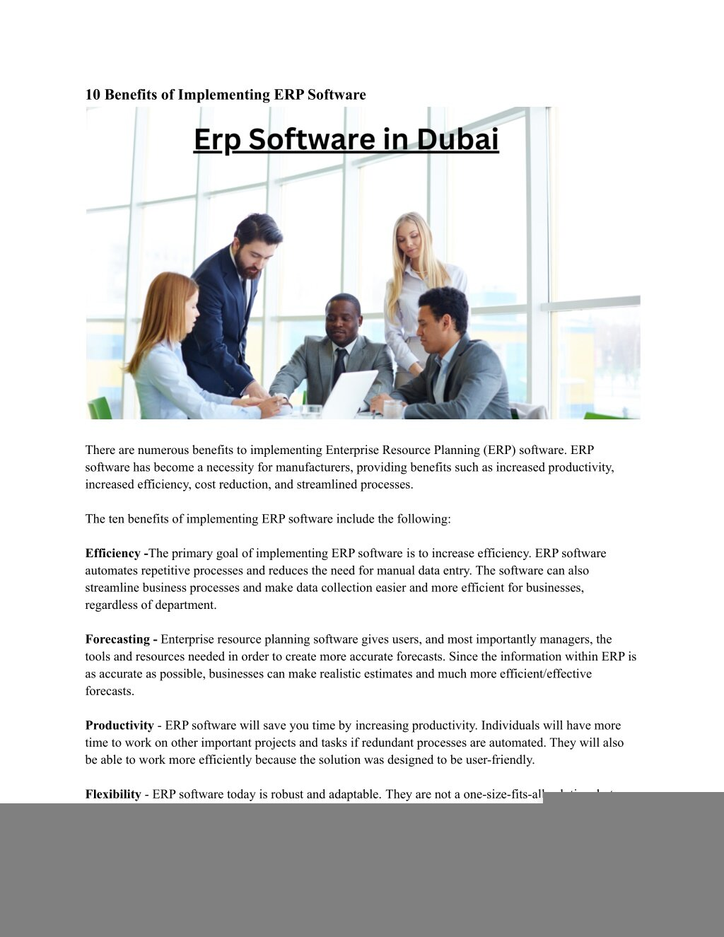 Best Erp Software Uae