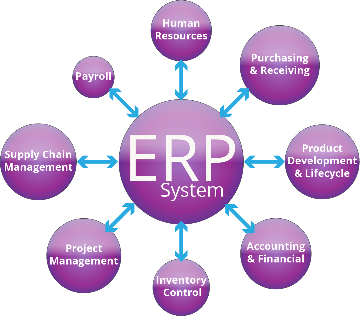 Erp Oracle Netsuite